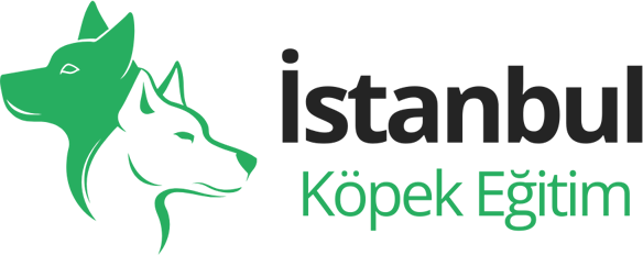 İstanbul Köpek Eğitim